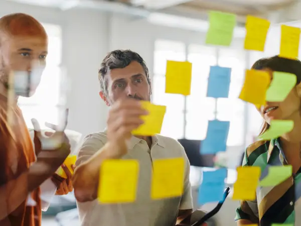 Training administrare de personal